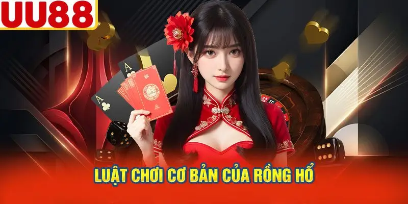 Luật Chơi Cơ Bản của Rồng Hổ