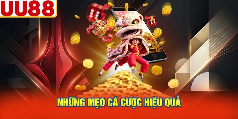 Chiến Lược Cá Cược Thông Minh