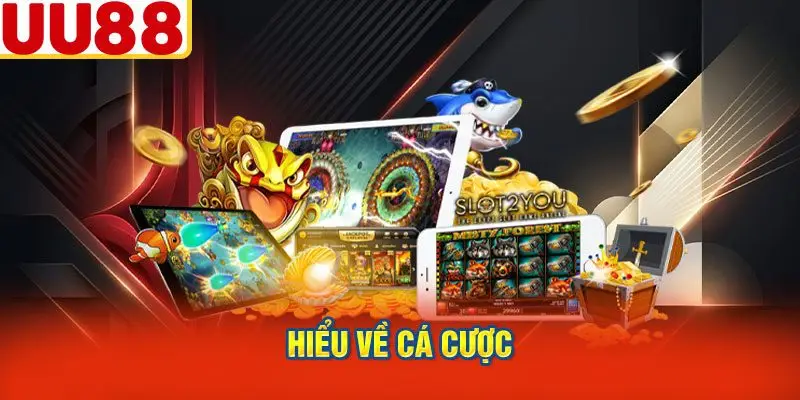 Hiểu Về Cá Cược