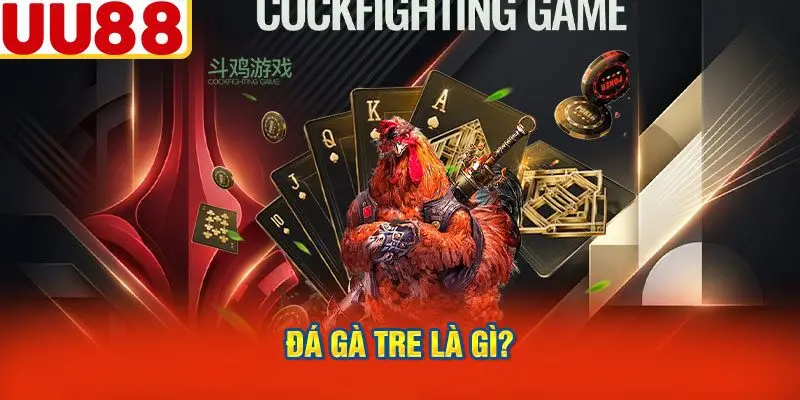 Đá Gà Tre Là Gì?