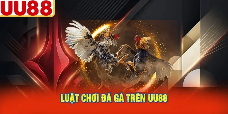 Luật Chơi Đá Gà Trên UU88