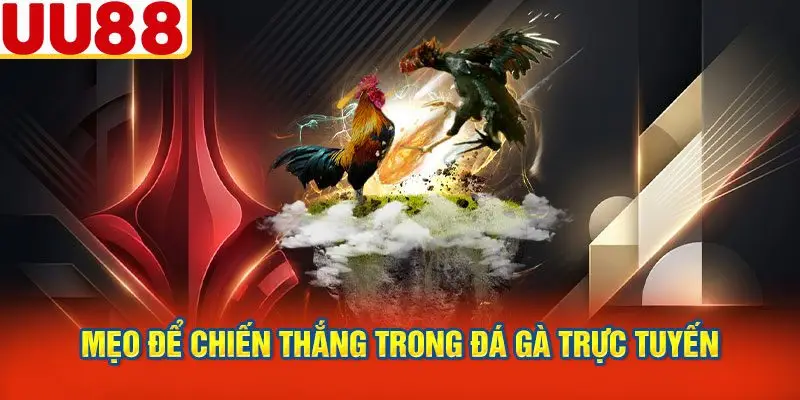 Mẹo Để Chiến Thắng Trong Đá Gà Trực Tuyến