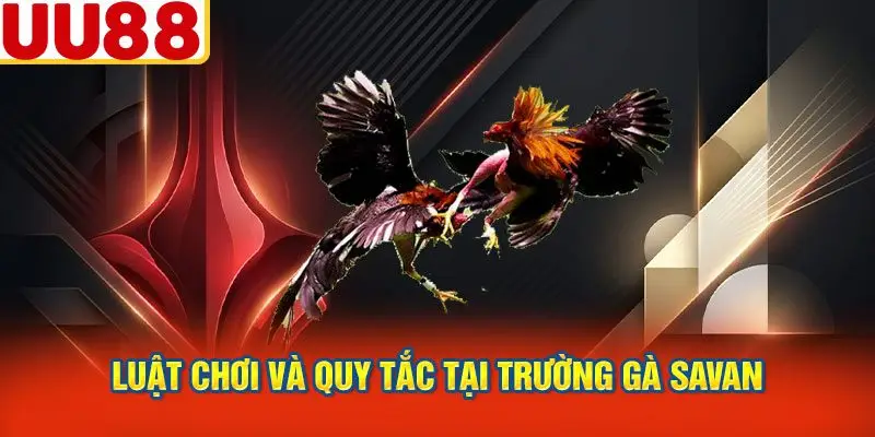 Luật Chơi và Quy Tắc Tại Trường Gà Savan