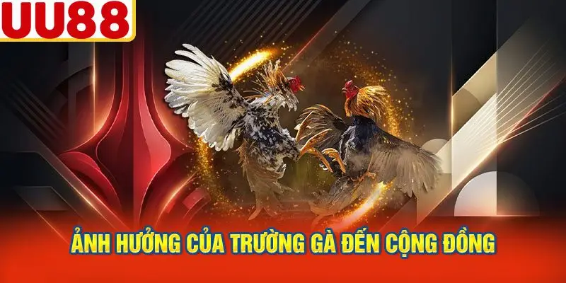 Ảnh Hưởng Của Trường Gà Đến Cộng Đồng